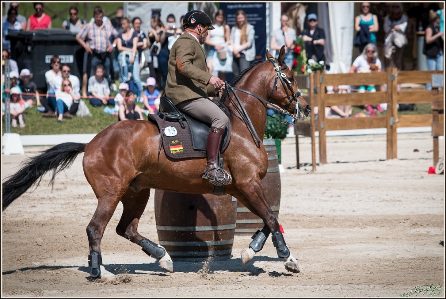 Pferd International 151